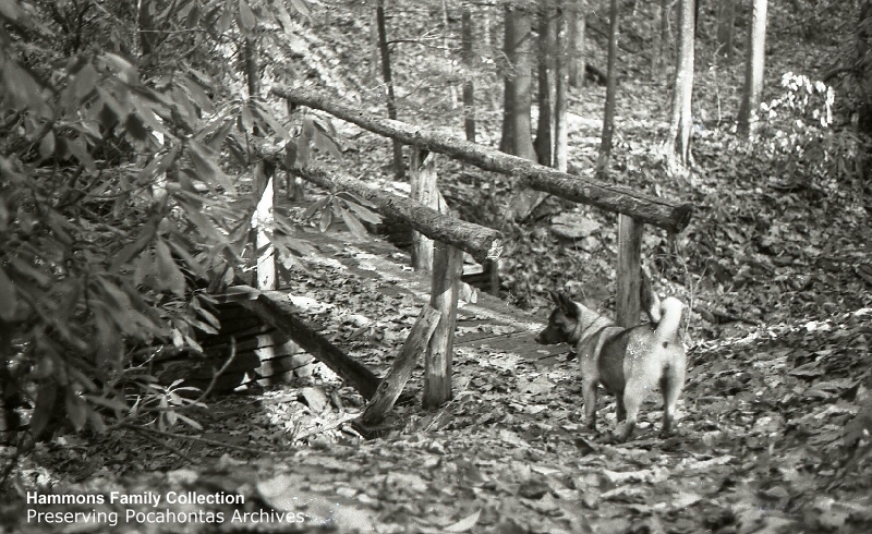 PHP005059.jpg