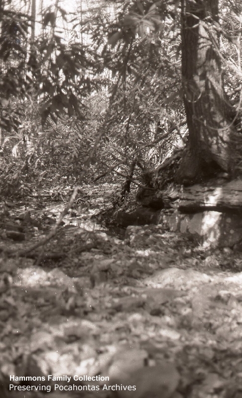 PHP005058.jpg