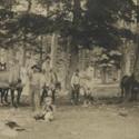 Group of Men under Trees with Horses