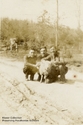 PHP004989.jpg