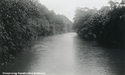 Greenbrier River near Camp Island Ford at Seebert